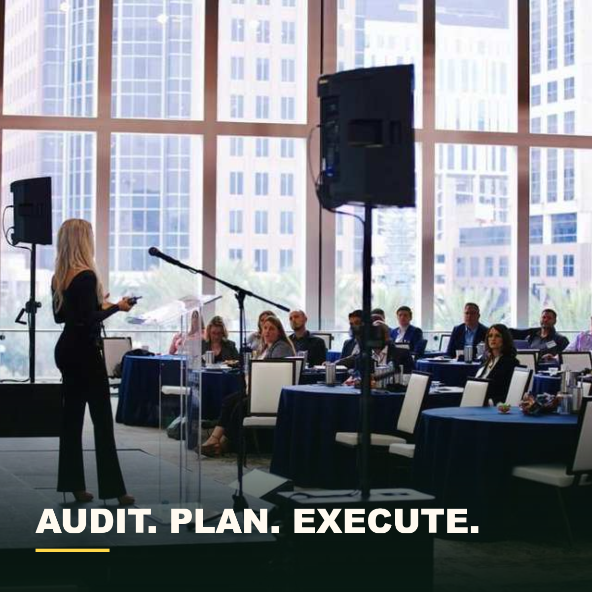 Audit Plan Execute