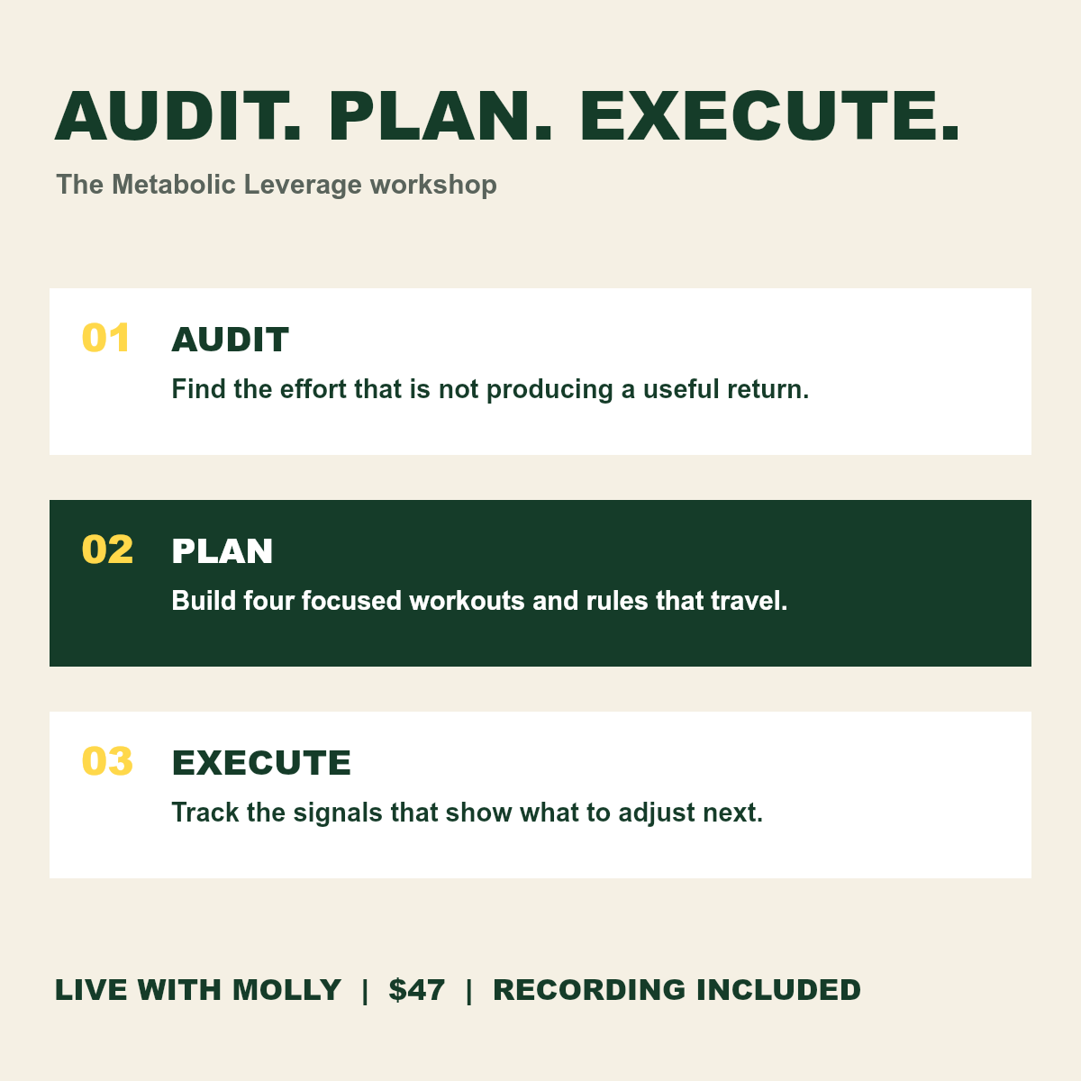 Audit Plan Execute method